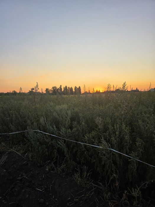 Продаж земельної ділянки на масиві. Летра.Газ