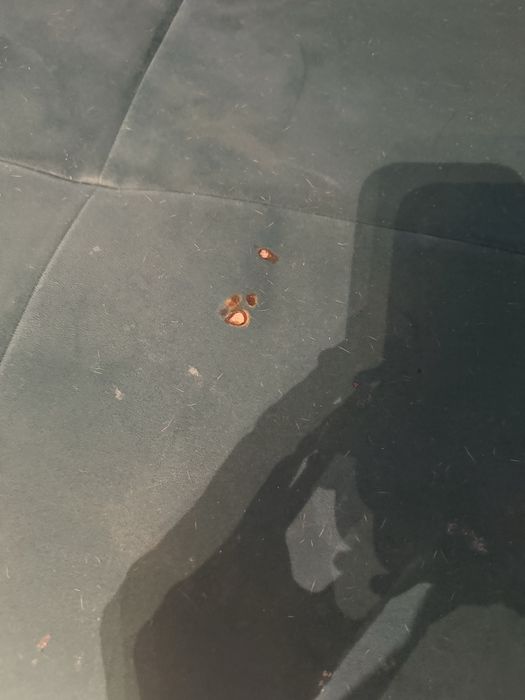 Zestaw kanapa i fotel