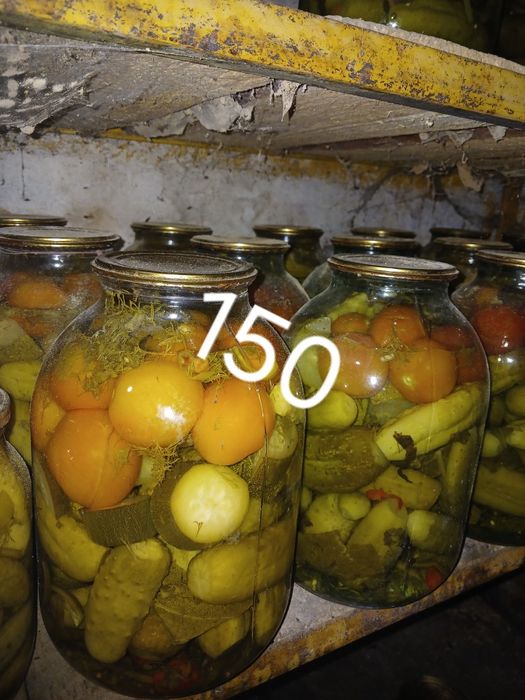 Рыбные мясные овощные консервы