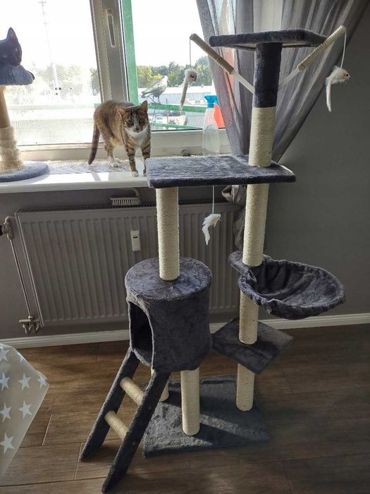 Drapak dla Kota Stabilny Wysoki Domek Legowisko Hamak 5 Poziomów NOWY