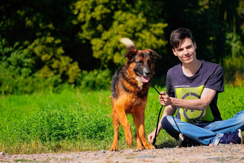 Bośnia - przepiękna sunia czeka na dom