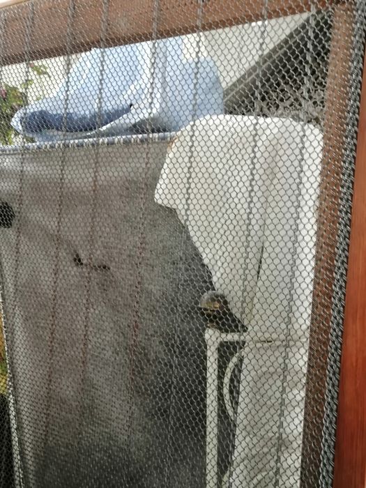 Cama muito antiga em ferro com estrado original.