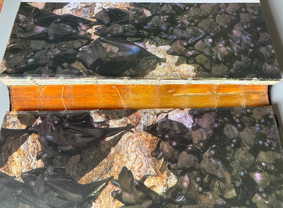 A Vida na Terra - David Attenborough