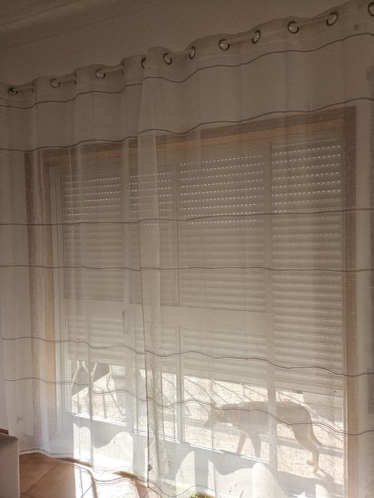 Cortinas translúcidas (duas)
