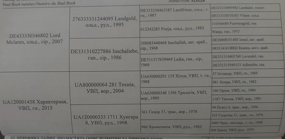 Продам  файну дівчинку