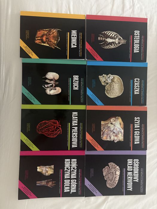 Skawiny anatomia