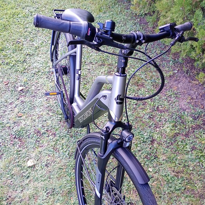 Bergamont E-Horizon rower elektryczny pasek