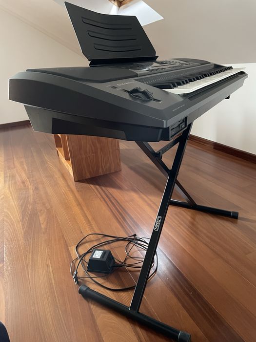 Orgão CASIO CTK-811 EX