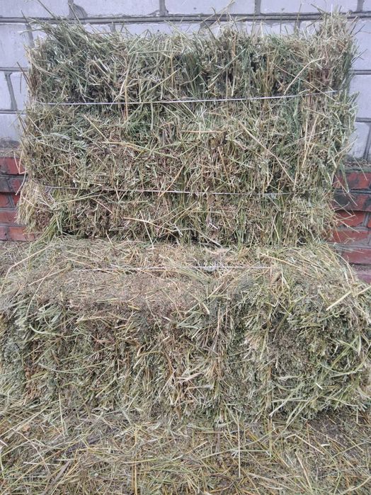Сіно люцерни, разнотравья, солома пшенична, ячмінна