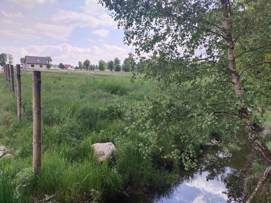 Przemocze | Działka z WZ na dom | Prąd i gaz
Dz