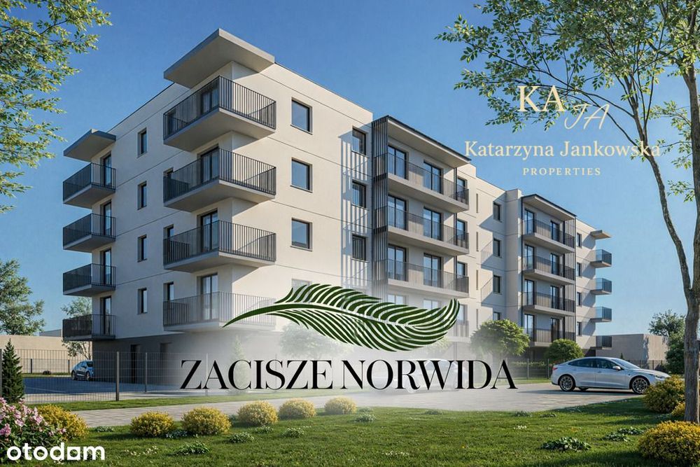 Zdjęcie 2