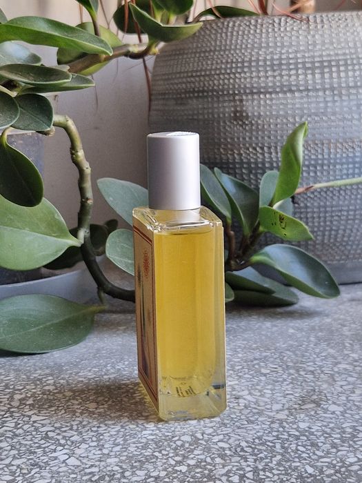 Perfumy Imaginary Authors Slow Explosions
