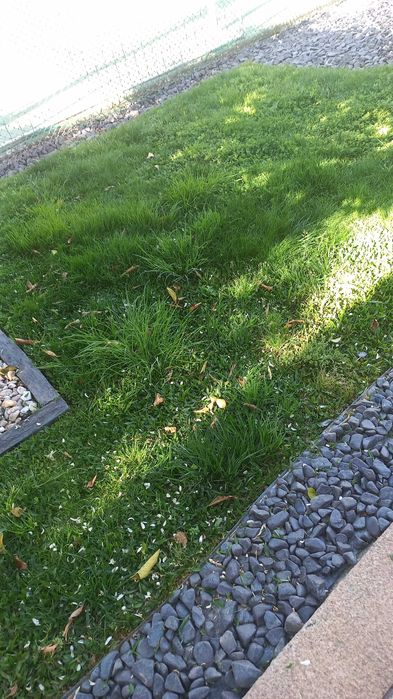 Serviços de jardinagem/Pichelaria