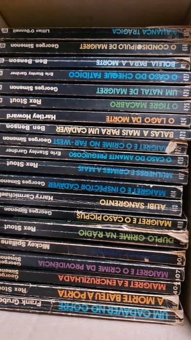 126 Livros coleção vampiro
