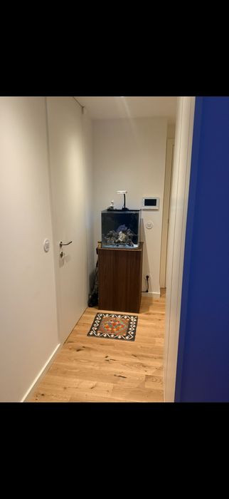 Aquario agua salgada completo