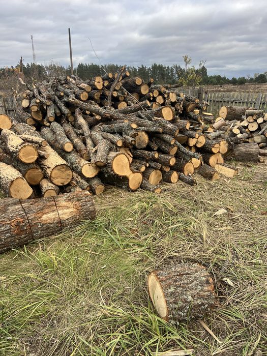 Дрова дуб вільха береза