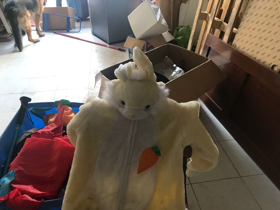 NOVO PREÇO- Fatos de Carnaval para Criança
