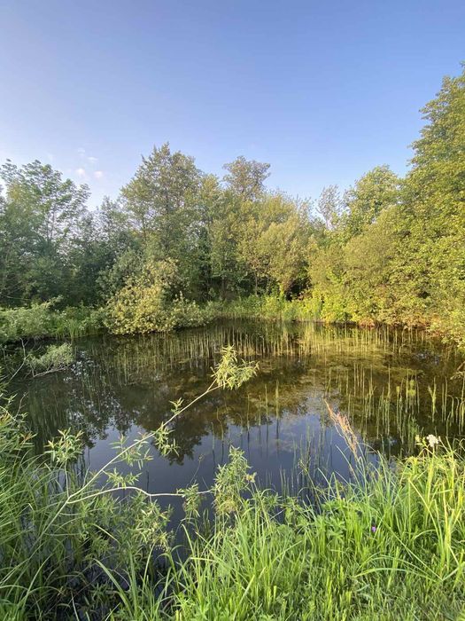 Будинок село Буща.