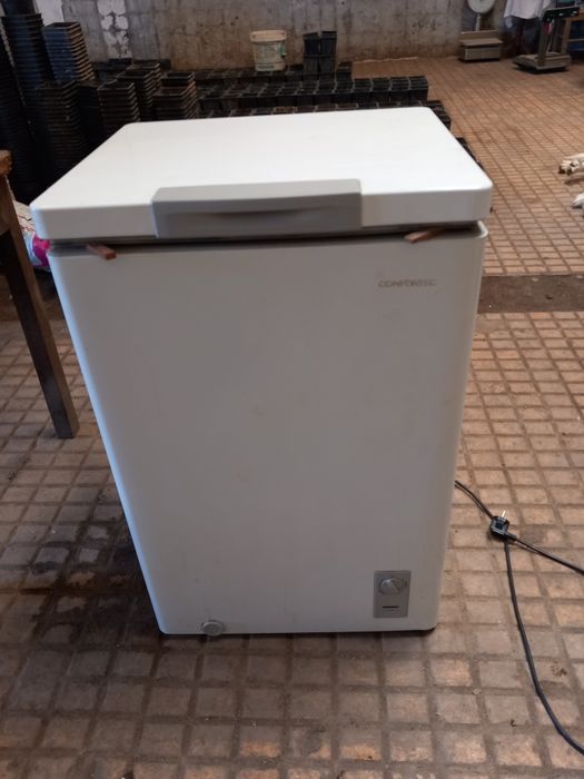 Arca de congelação