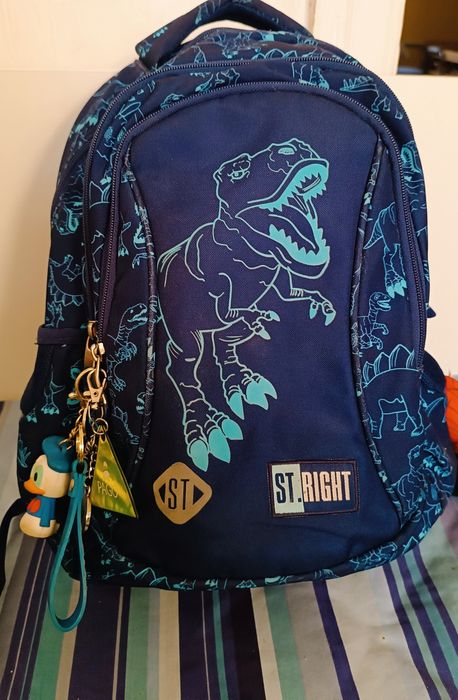 Plecak szkolny 20l
