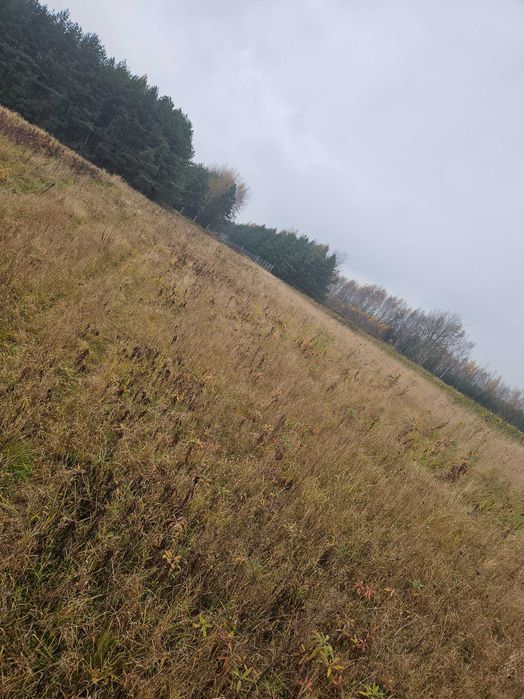 Działki na sprzedaż Trzeboś