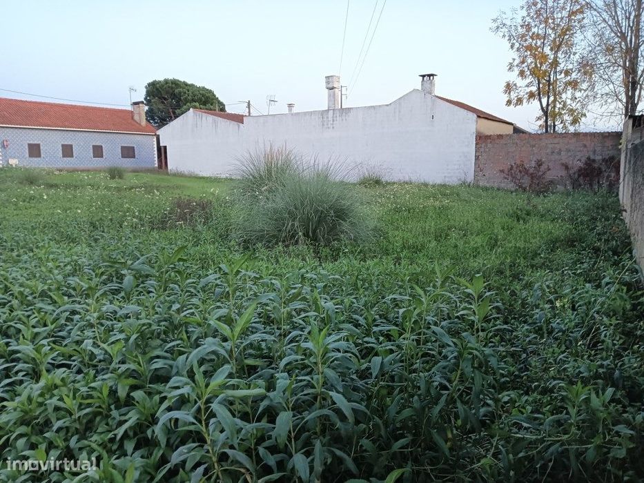 Terreno com 31m de frente para venda Bustos - Oliveira do Bairro