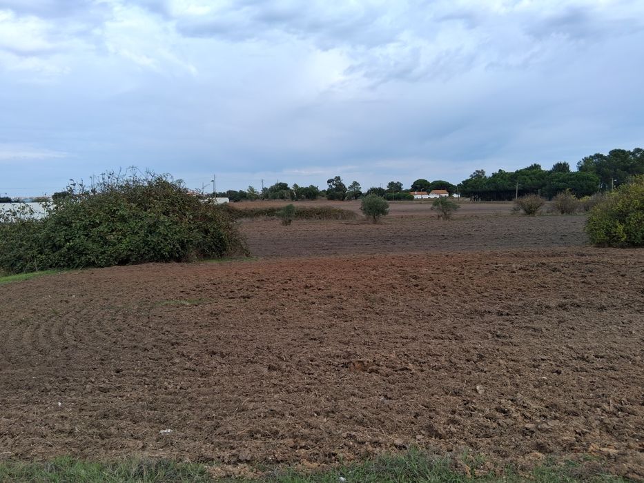 Terreno com 36.000m2