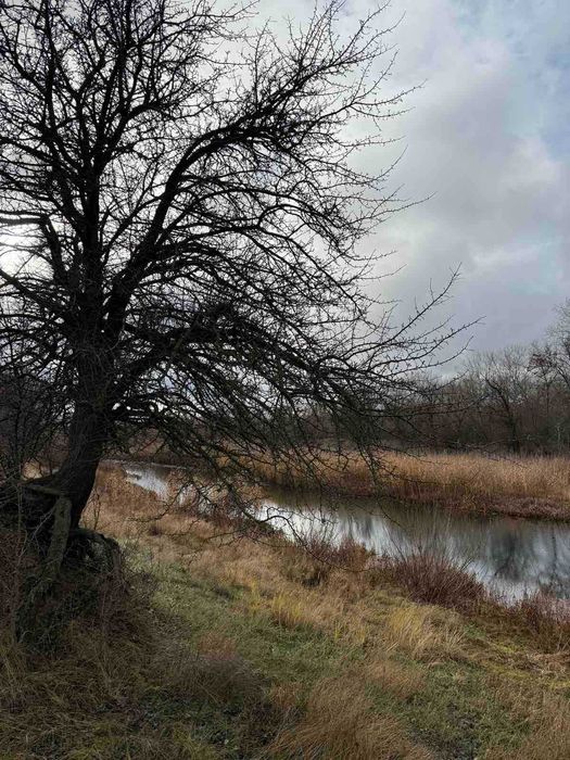 Будинок у мальовничому селі Верхня Мануйлівка