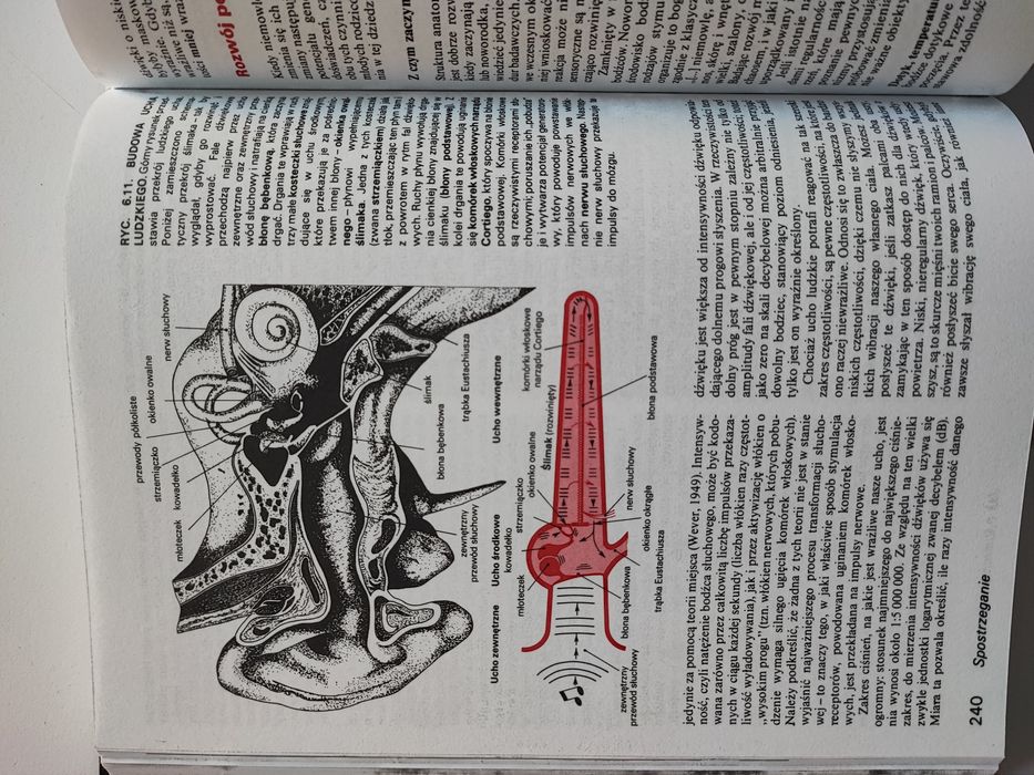 Psychologia i życie P. G. Zimbardo F. L. Ruch