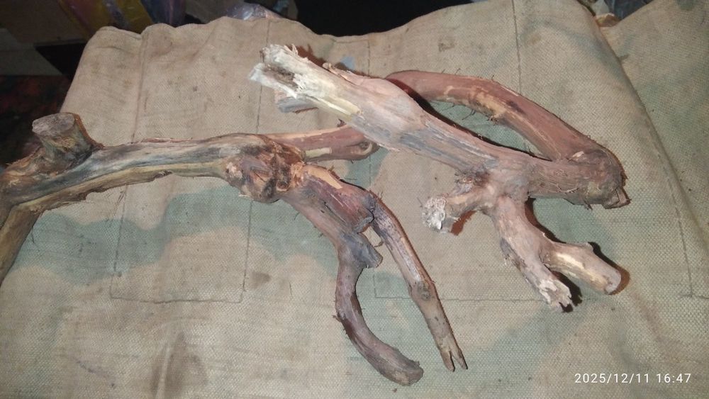 Коряги в аквариум, терариум