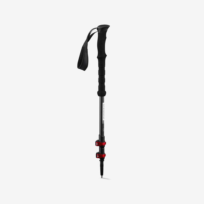 2 BASTÕES CORTO Fuji Carbon