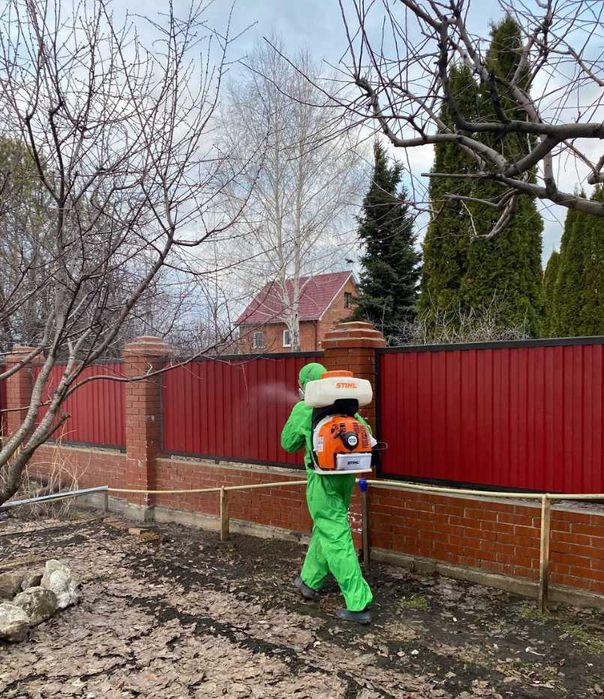 Травля тараканов срочно дезинсекция от тараканов уничтожение тараканов