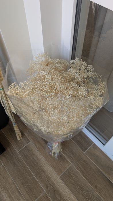 Сухоцвіти (пшениця, лагурус, фалярис)