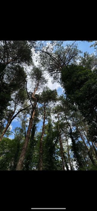 Sprzedam działkę 1600m. Woda, prąd, studnia, ogrodzona