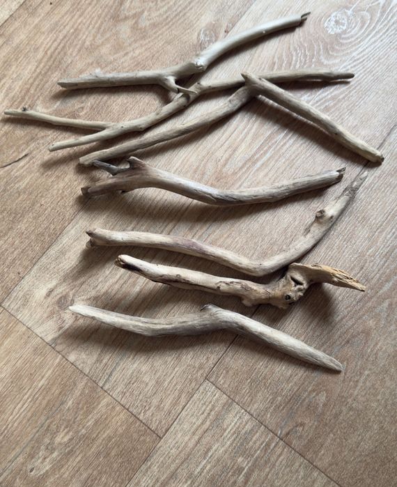 Топляк для тераріума. Коряги для тераріума. Дріфт для акваріума