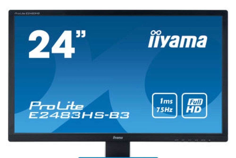 монитор Iiyama ProLite E2483HS