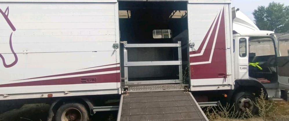 Aluminiowy Kontener zabudowa do przewozu zwierząt koni kamper boksy dl