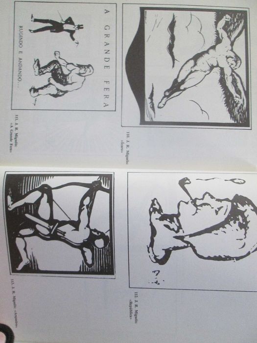 O Imaginário Seareiro - Ilust. e Ilustrações da Seara Nova (1921|1927)