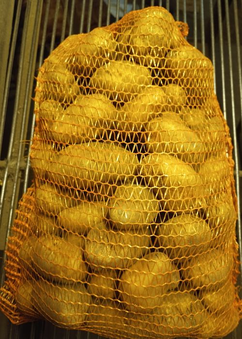 Sprzedam ziemniaki jadalne Lord