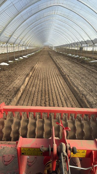 Uprawa broną aktywną równanie między rzędzie siew trawy sad borowa