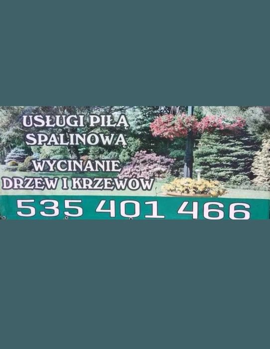 Wycinka drzew i krzewów, podnośnik koszowy