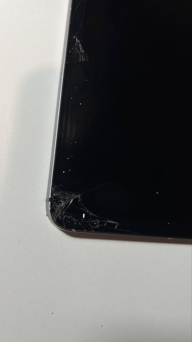 Ipad 12,9 3 geracao danificado