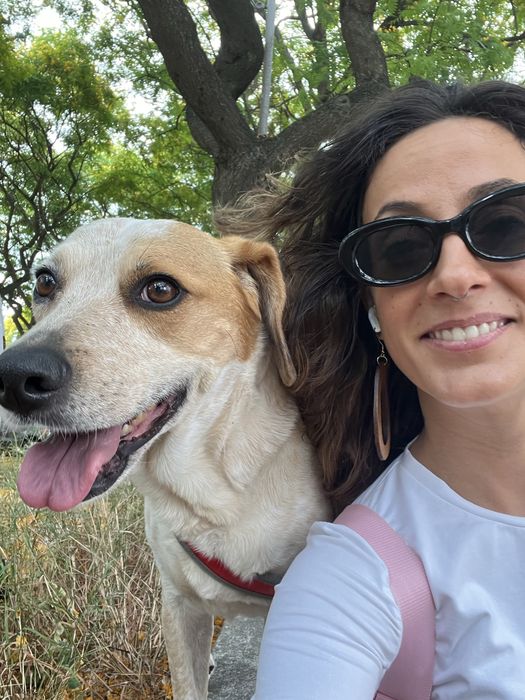 Pet Sitting - Almada e Lisboa