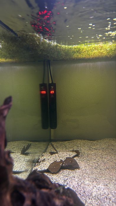 Vendo aquario 200 com 3 discos