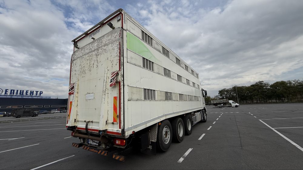 Volvo FH 540 скотовоз