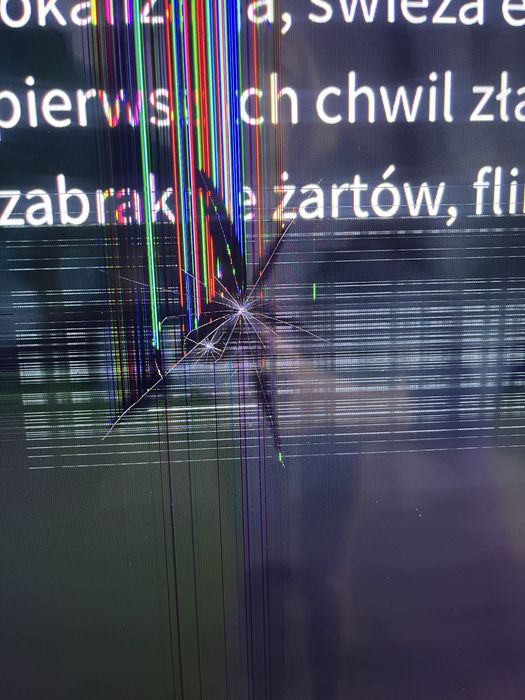 Telewizor Philips PUS9010/12 - uszkodzony