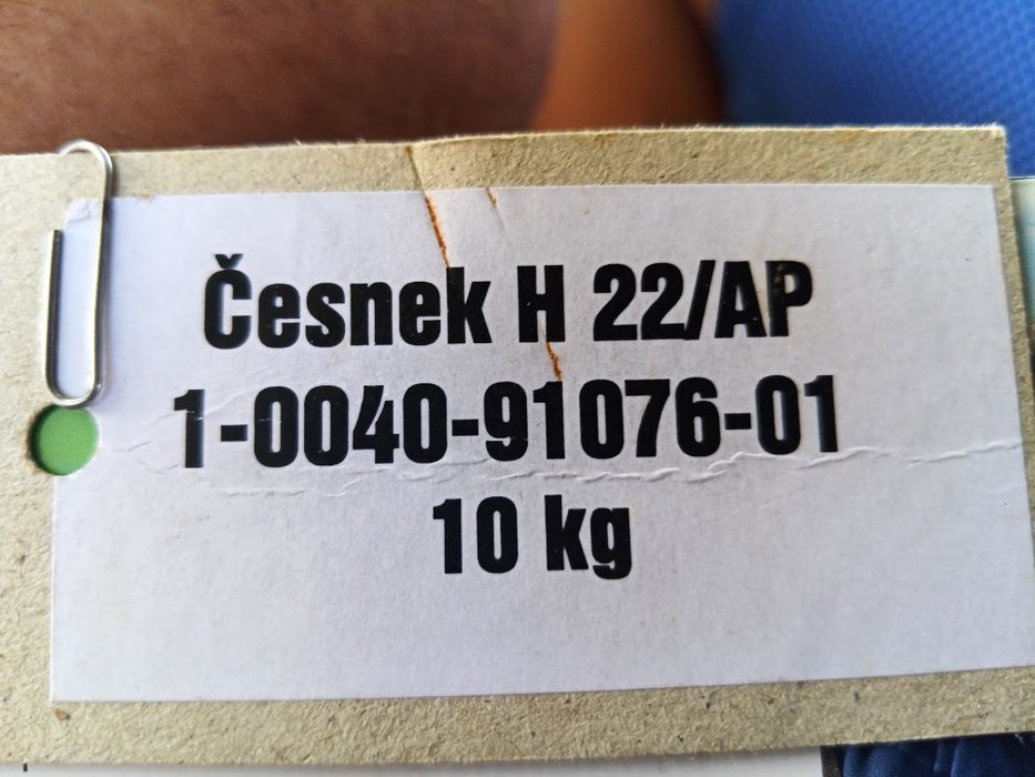 Часник  Карел чеської селекції,порцелянового сортотипу,