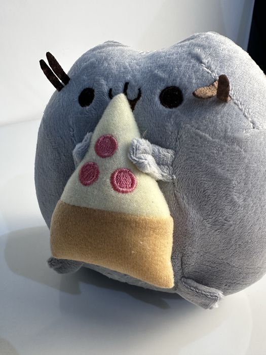 Pusheen z pizza