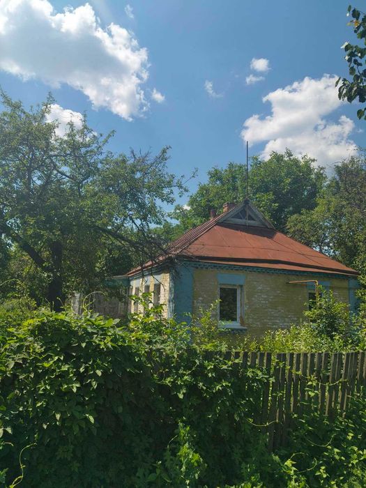 Дім в с. Дирдино Городищенський р-н Черкаська обл