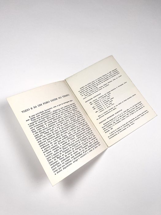 Ângelo de Sousa Galeria Buchholz 1968